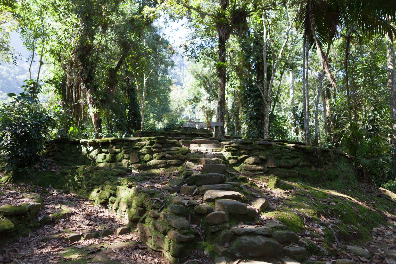Ciudad Perdida (Photo by Ancient-Origins.net)