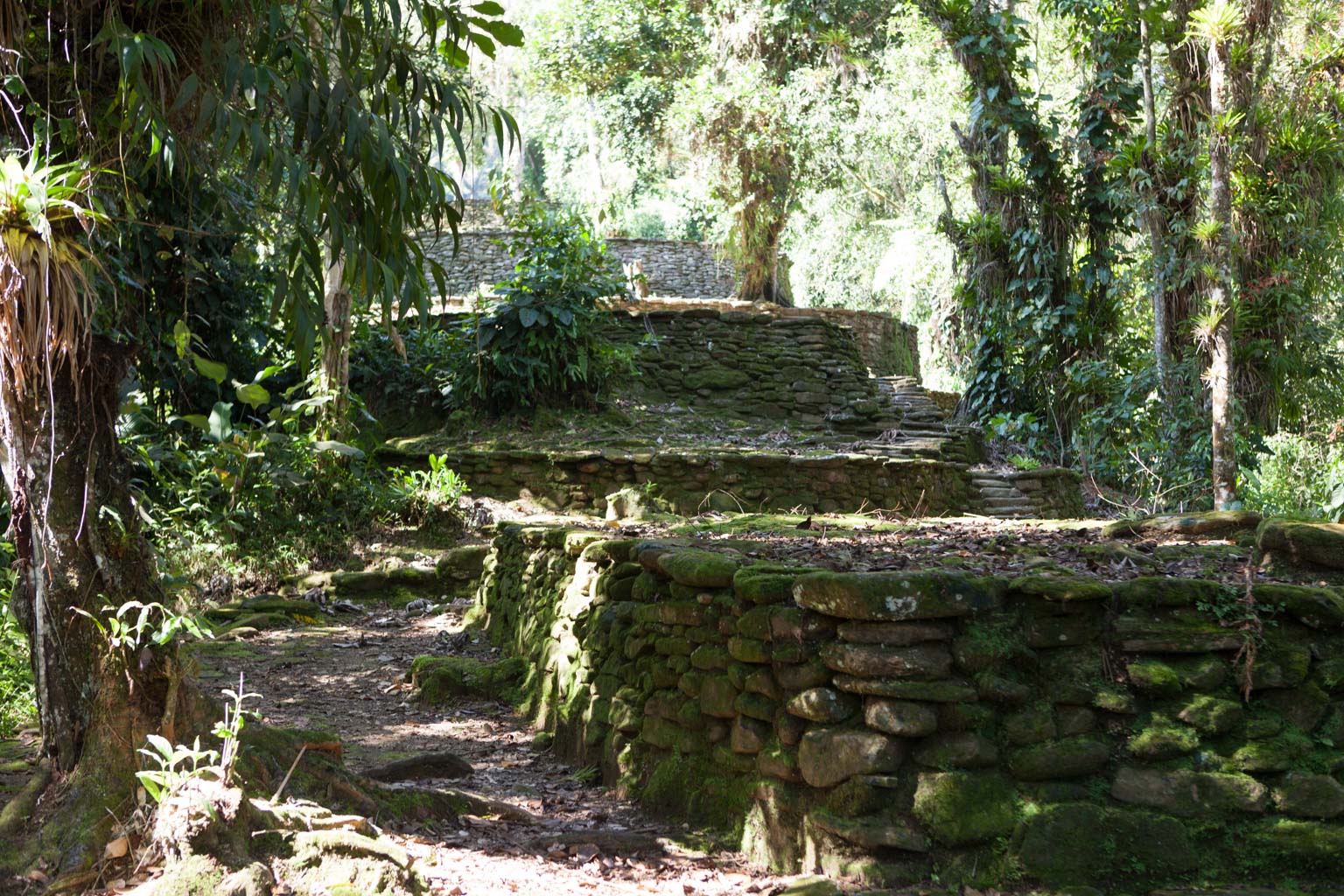 Ciudad Perdida (Photo by Ancient-Origins.net)