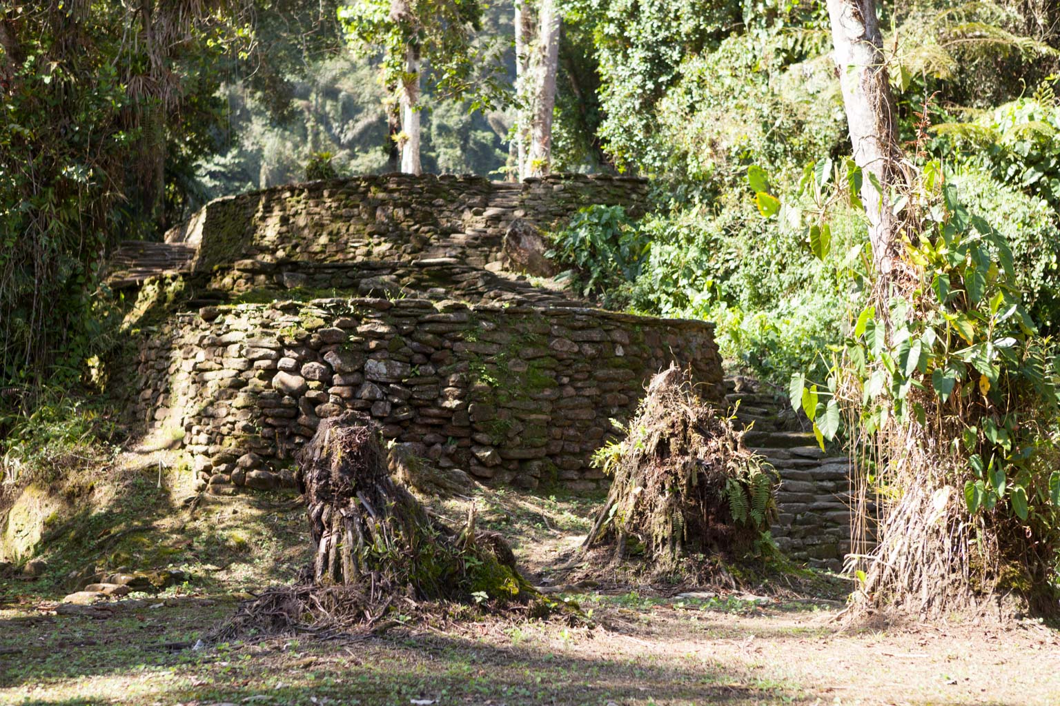 Multiple houses at Ciudad Perdida (Photo by Ancient-Origins.net)