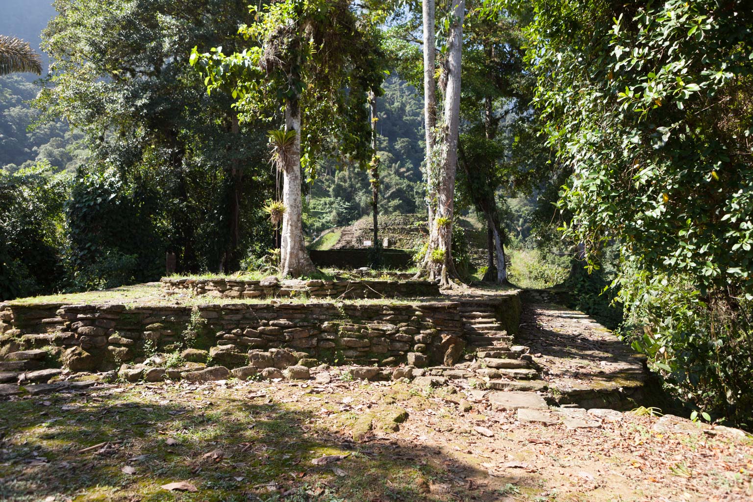 Ciudad Perdida (Photo by Ancient-Origins.net)
