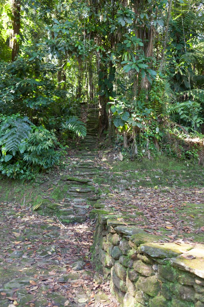 Ciudad Perdida (Photo by Ancient-Origins.net)