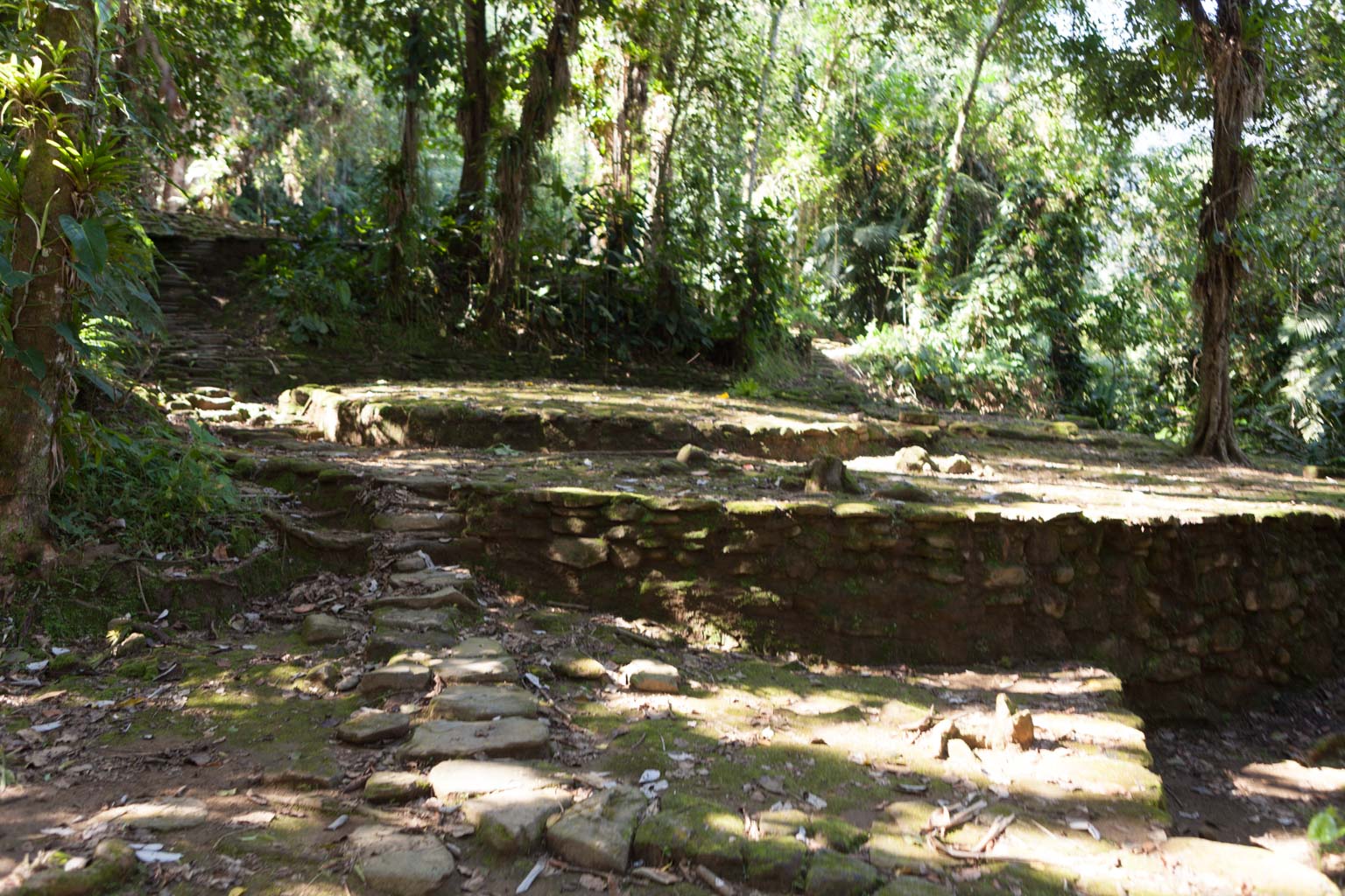 Ciudad Perdida (Photo by Ancient-Origins.net)