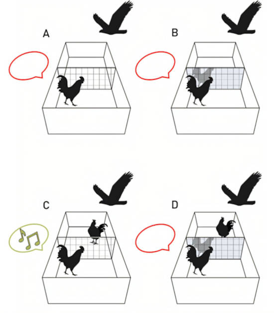Infographic demonstrating the 'mirror-audience test" used. 