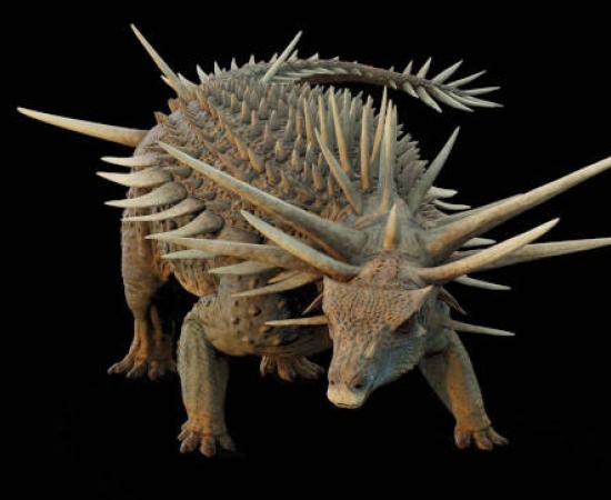 Artistic reconstruction of Spicomellus afer 