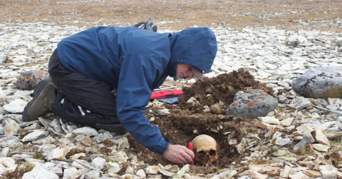 Anthropologist Douglas Stenton excavates the remains of a Franklin expedition sailor at Erebus Bay.