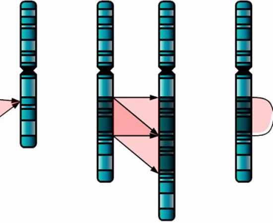 Genetic Mutations