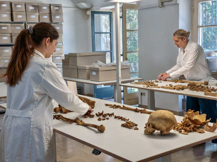 Researchers at the State Collection for Anthropology Munich examine skeletons