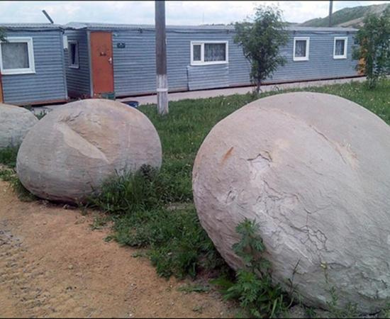 A leftover from Jurassic Times.