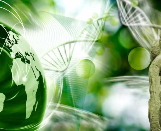 The latest innovation in home DNA tests uses ancient DNA to reveal unique insights into ancestry. Source: cooperr / Adobe Stock