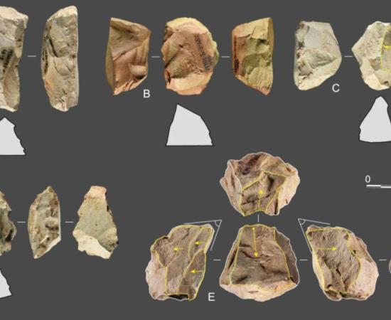 Set of Quina lithic artifacts unearthed at the site in Longtan, China.