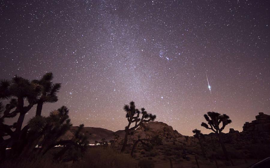 Taurid meteor shower, Joshua Tree, California, 2015.