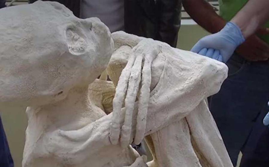 Alleged Mummy found at Nazca, clearly has three fingers and toes