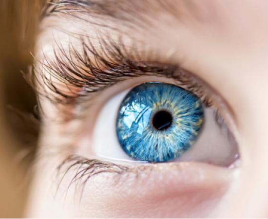 A blue eye close up