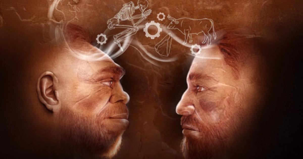 Image representing Neanderthal and Homo sapiens males sharing thoughts.