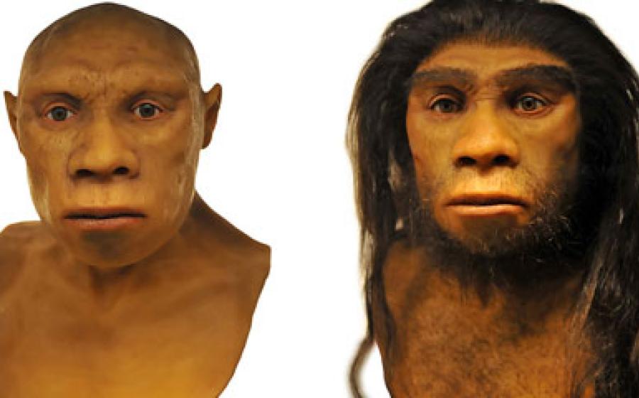 Neanderthals