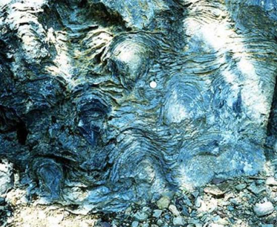Origins of Life Challenged