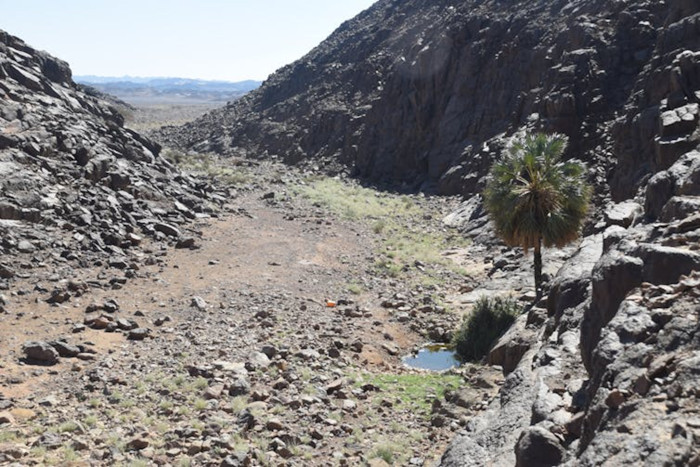 Enclosure burials cluster near precious water sources like this small pool in a ravine