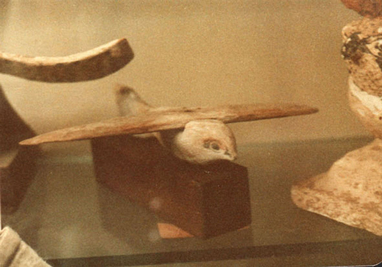  The Saqqara Bird is a bird-shaped artifact made of sycamore wood, discovered during the 1898 excavation of the Pa-di-Imen tomb in Saqqara, Egypt. (Source: Wikipedia)