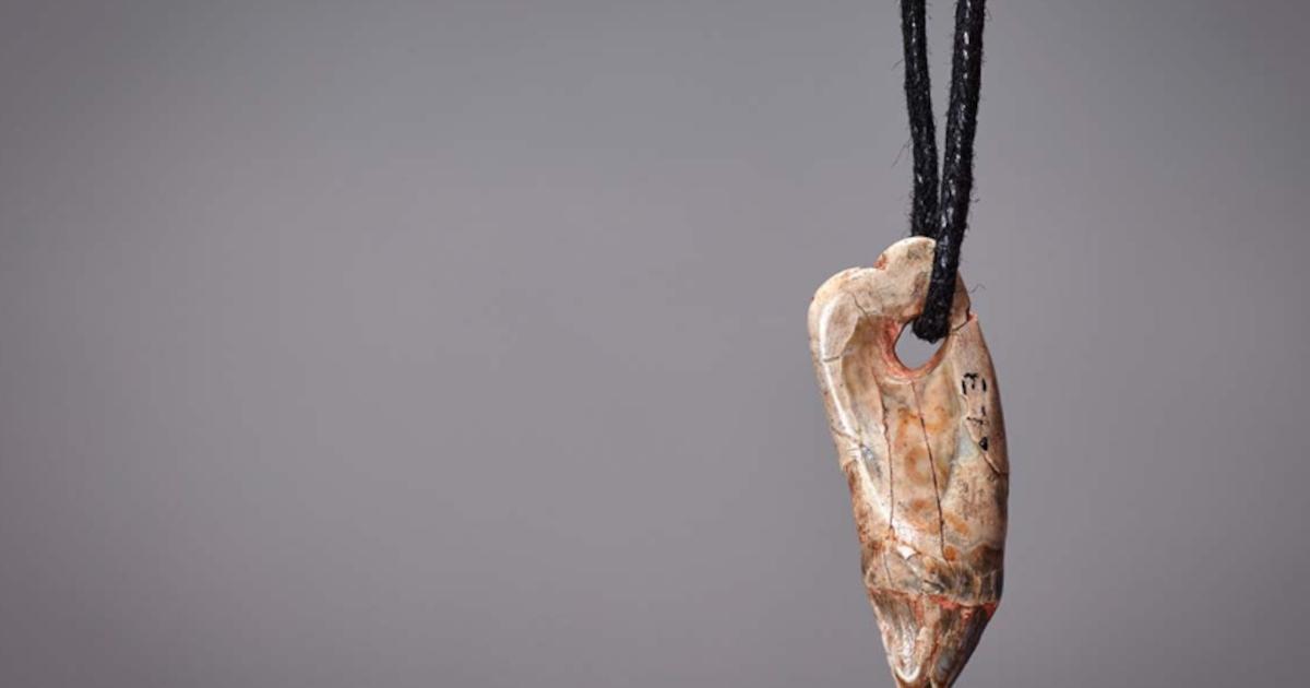 15,000-Year-Old Seal Tooth Pendant found in Kent's Cavern, Devon, UK