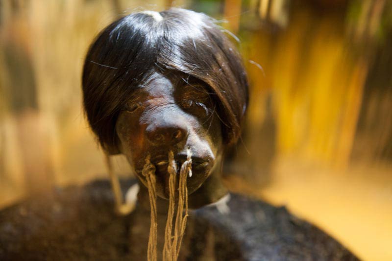 Shrunken Head at Cuenca Museum - Ecuador (Image: Ancient Origins)