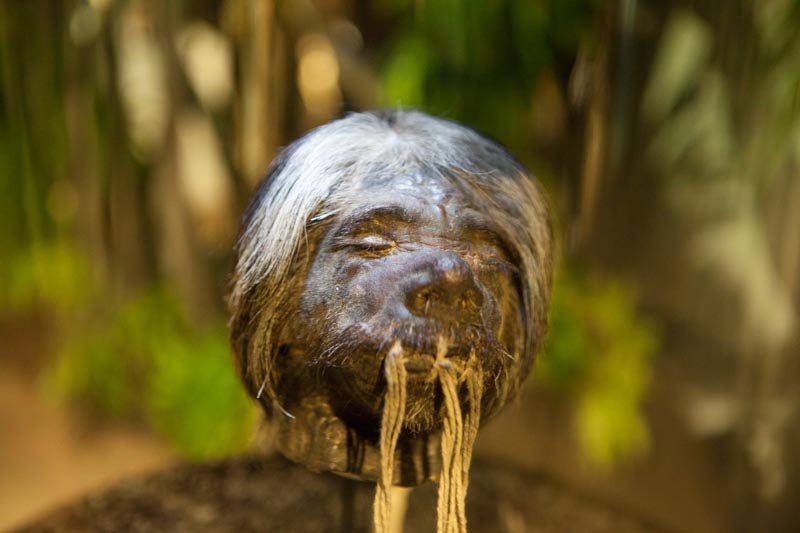 Shrunken Head at Cuenca Museum - Ecuador (Image: Ancient Origins)