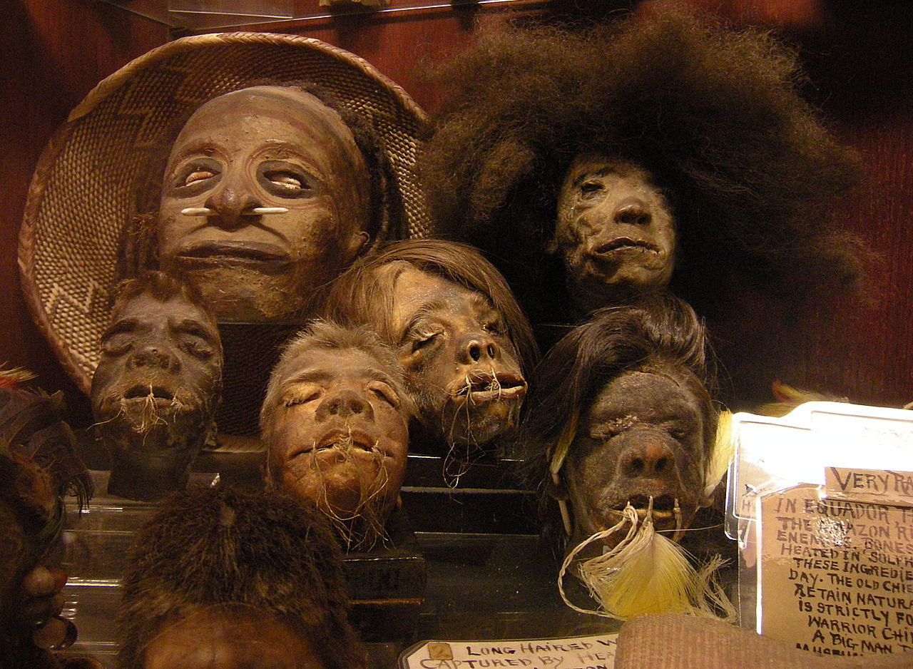 Shrunken heads in the permanent collection of "Ye Olde Curiosity Shop", Seattle, Washington state, U.S. (Image: Wikipedia)