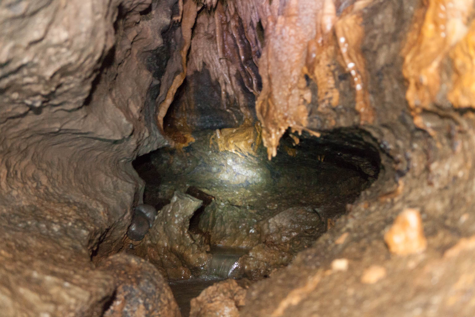 Tayos Cave formations